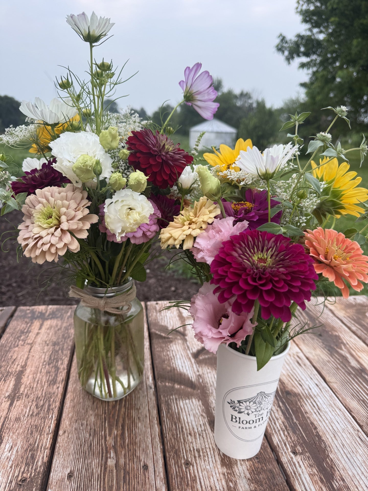 Seasonal Flowers