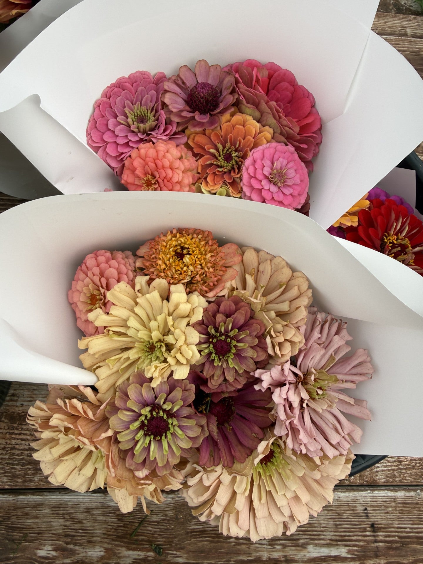 Seasonal Wrapped Bouquet